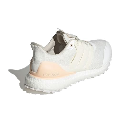 阿迪达斯H03602 ULTRABOOST DNA GUARD女子跑鞋图3高清图片