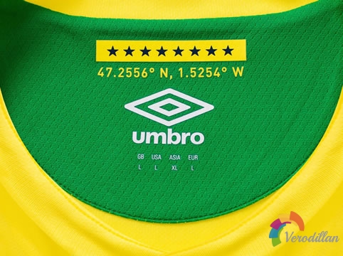 南特2016/17赛季主场球衣,招牌式黄绿色搭配图2