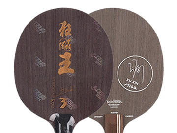 狂飙王3和许昕蓝标哪个好,怎么选(对比测评)