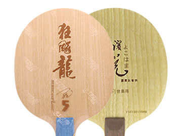 龙5和横滨悦哪个好,怎么选(对比测评)