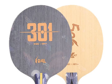 狂飙301和天极506哪个好,怎么选(对比测评)