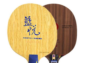 世奥得蓝悦和奥恰哪个好,怎么选(对比测评)