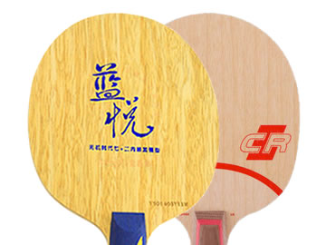 世奥得蓝悦和斯蒂卡clcr哪个好,怎么选(对比测评)