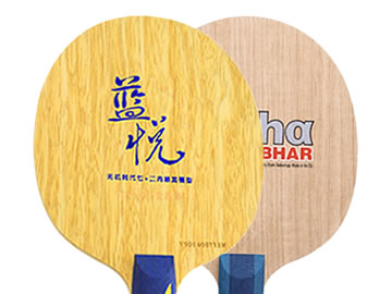 世奥得蓝悦和萨姆阿尔法哪个好,怎么选(对比测评)