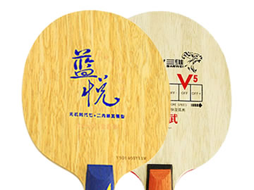 世奥得蓝悦和三维v5威武哪个好,怎么选(对比测评)