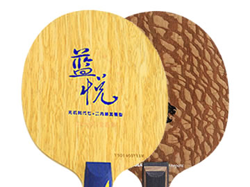 世奥得蓝悦和优拉锐豹哪个好,怎么选(对比测评)