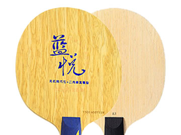 世奥得蓝悦和a3哪个好,怎么选(对比测评)