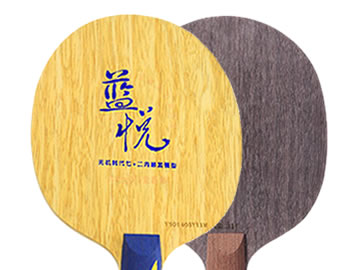 世奥得蓝悦和hd317哪个好,怎么选(对比测评)