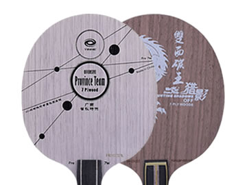 銀河pro7w和獵影雙面碳王哪個好,怎么選(對比測評)