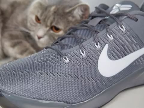 [优缺点分析]耐克Kobe AD EP专业测评图4